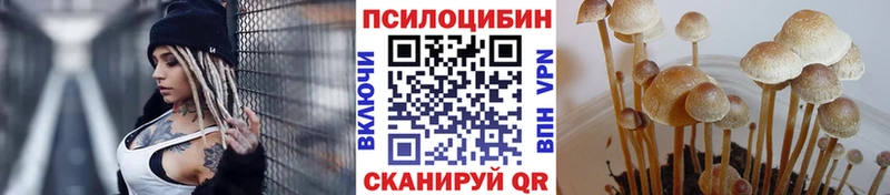 Псилоцибиновые грибы Psilocybine cubensis  Купить закладки  Облучье 